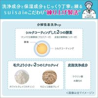 Suisai Beauty CLEAR Paste Wash 120g