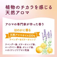 arau/아라우 거품 바디 비누 480ml