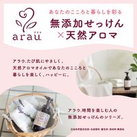 arau/아라우 거품 바디 비누 480ml