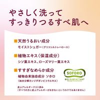 arau/아라우 거품 바디 비누 480ml