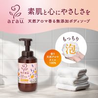 arau/아라우 거품 바디 비누 480ml