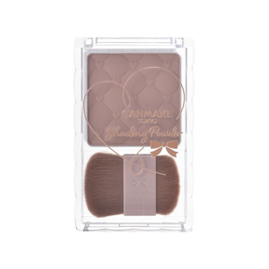 캔 메이크업 쉐이딩 파우더