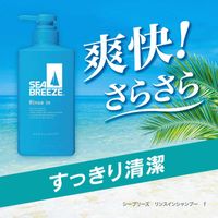 FINE to Day SEA BREEZE免洗髮精補充裝