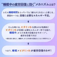 合利他命制药合利他命 / 武田合利他命夜间恢复片，22片装