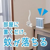 DAINIHON JOCHUGIKU Kincho Shinkatori 300-day supply, odorless