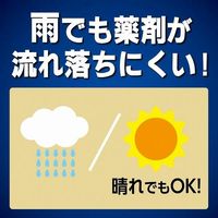 DAINIHON JOCHUGIKU Kincho Mosquito Repellent Mushikonazu Premium (Screen Door Adhesive Type, 250-Day Supply)