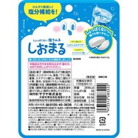 Saraya Salt Ramune Shiomaru (Not Salty) - Chilled Cider Flavor