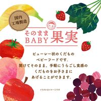 アサヒグループ食品 和光堂 ベビーフード そのままBABY果実 りんご×トマト