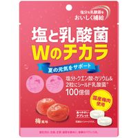 UsukiChemical 염과 유산균 W의 티카라 매화 맛 44g