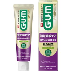 선스터 GUM 껌 프리미엄 치과 페이스트 지각 과민 케어 마일드 허브