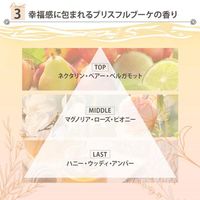 KOSÉ Cosmeport SS Bioliss Fleur Syrup Repair Wrapping Hair Mask