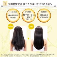 高絲Cosmeport SS Bioliss Fleur 絲滑柔順洗髮露補充裝