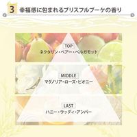 高絲Cosmeport SS Bioliss Fleur 絲滑柔順洗髮露補充裝