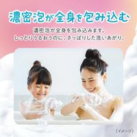 Lion Hadakara Medicated Pure Mild Moist Body Care Soap (Main Unit)