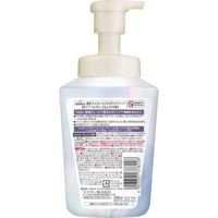 Lion Hadakara Premium Moist Body Care Soap (Foam Type)