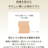 아네사 퍼펙트 UV 브러쉬 온 파우더 3g SPF50+・PA++++