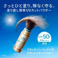 아네사 퍼펙트 UV 브러쉬 온 파우더 3g SPF50+・PA++++