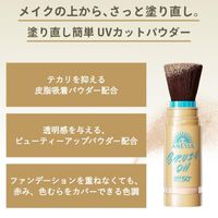 아네사 퍼펙트 UV 브러쉬 온 파우더 3g SPF50+・PA++++