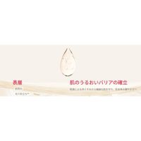 [Domestic Authentic Product] SK-II Pitera™ Infinite Aura Kit