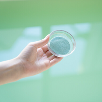 효소 센카 효소 스킨 CLEAR 파우더