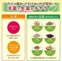 【第2類医薬品】パブロン50 48錠