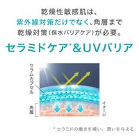 Curel/큐렐 윤침 보습 스킨 리페어 UV 세럼 60g