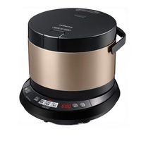 Hitachi IH Rice Cooker for Overseas Use ( 220V-230V Specifications ) , 4-cup Capacity, Champagne Gold, RZ-WS4Y-N