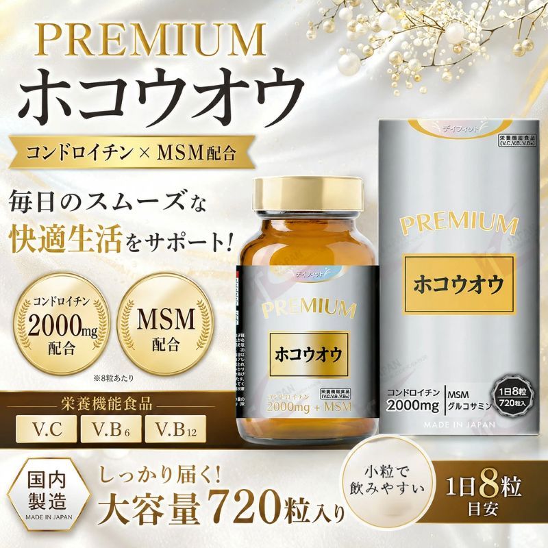 Hokouou_P.Ver.K