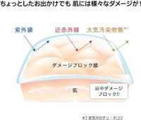 ORBIS防晒霜® 面部保湿防晒霜/妆前乳 SPF34 PA+++ 35克
