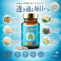 데이핏 DAYFIT 하이 파워 360 알갱이_P(3개월분)