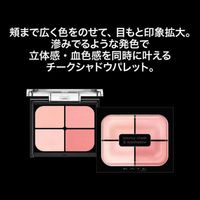 카네보 화장품 KATE 바운시 티크 그림자 PK-1 웜 피치 4.9g