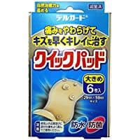 Delguard 快速卫生巾，大号，6 片