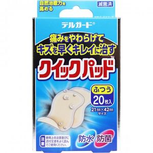 Delguard 快速卫生巾，常规尺寸，20 片