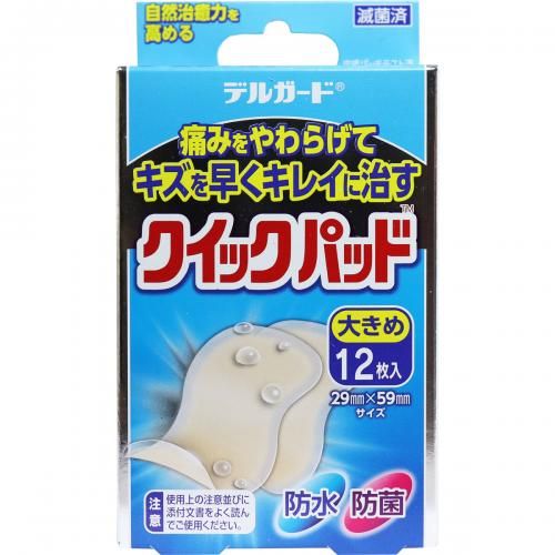 Delguard 快速卫生巾，大号，12 片
