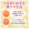 美チョコラコラーゲン(120粒)
