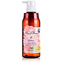 Bung shampoo 400mL to Rose of