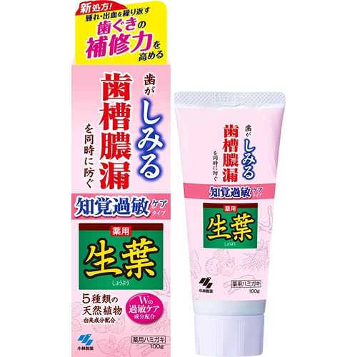 고바야시제약 생엽s 시린이 증상 예방 타입(100g)