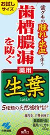 고바야시제약 이키하 생엽 체험용 사이즈(40g)