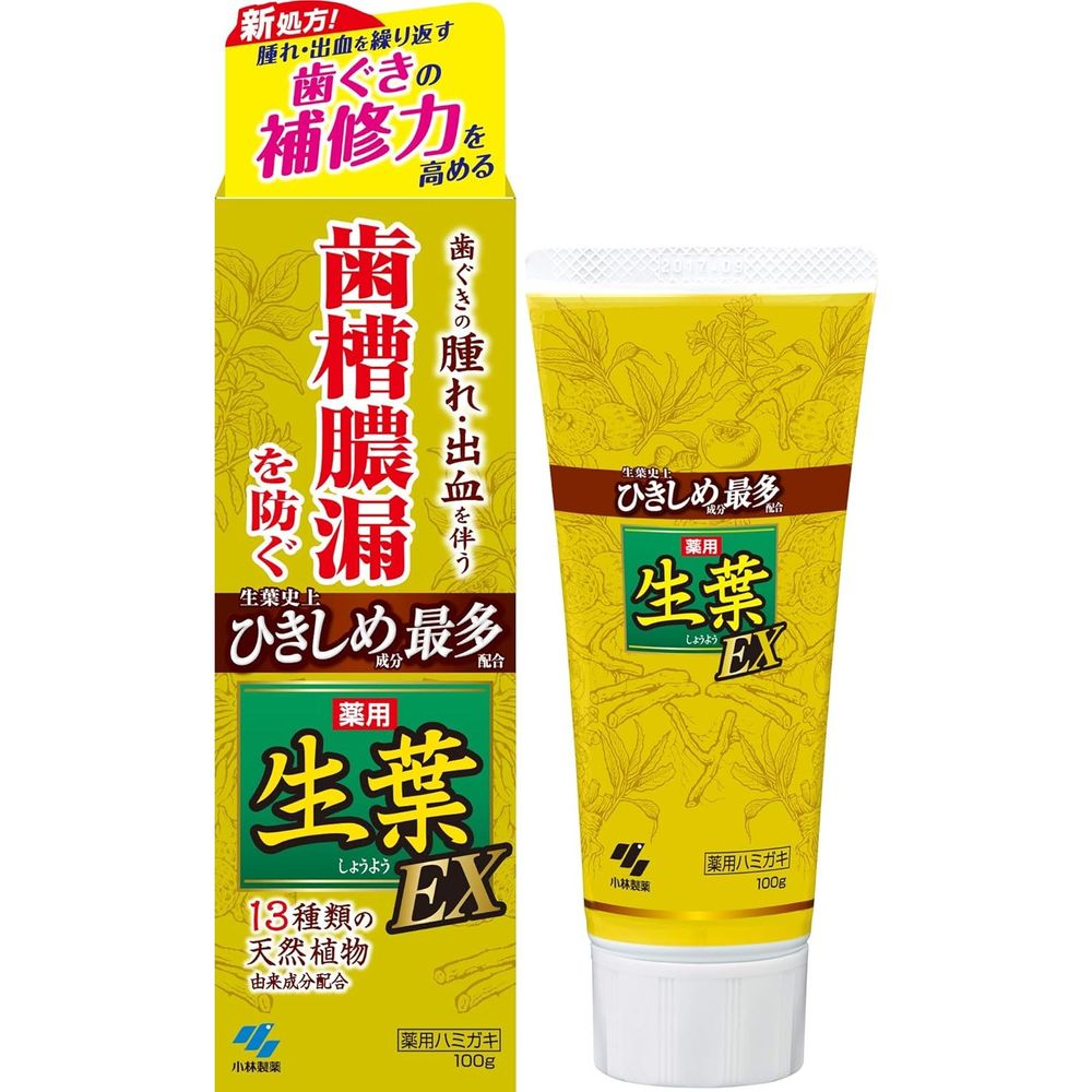 고바야시제약 생엽 EX(100g)