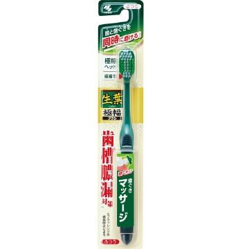 Kobayashi Seiyo Extra Wide Brush Regular (1 pc)