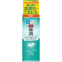 Rohto Hada Labo Gokujyun Medicated Skin Conditioner (170 mL)