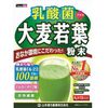 乳酸菌大麦若葉粉末 4g×15包