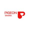 PIGEON TAHIRA