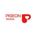 PIGEON TAHIRA