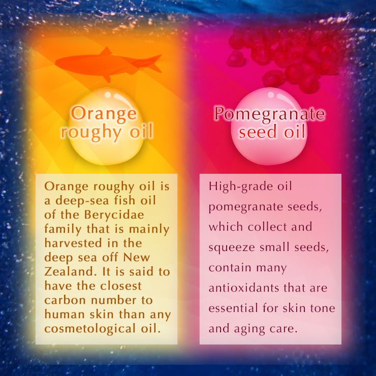 Rich Hair Oil Essence 60ml x 6 bottles