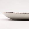 Ichikyu Mino ware Daen plate Tokusa