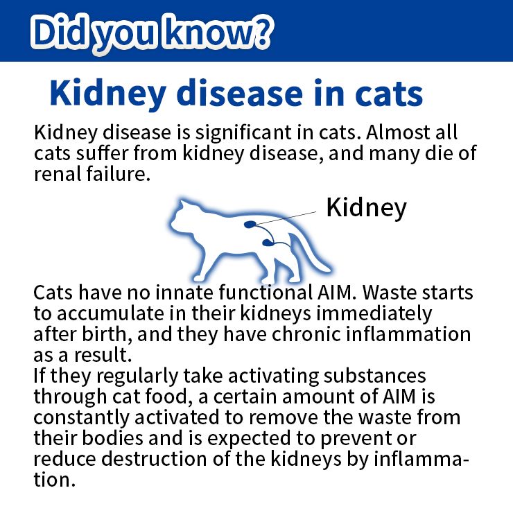 AIM30 Indoor cat kidney health care over 15 years old