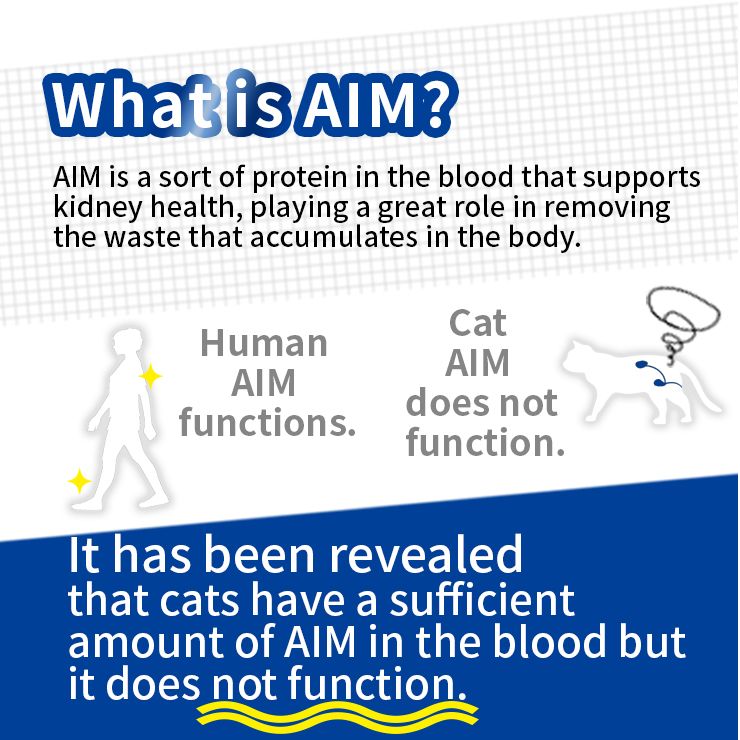 AIM30 Indoor cat kidney health care over 15 years old