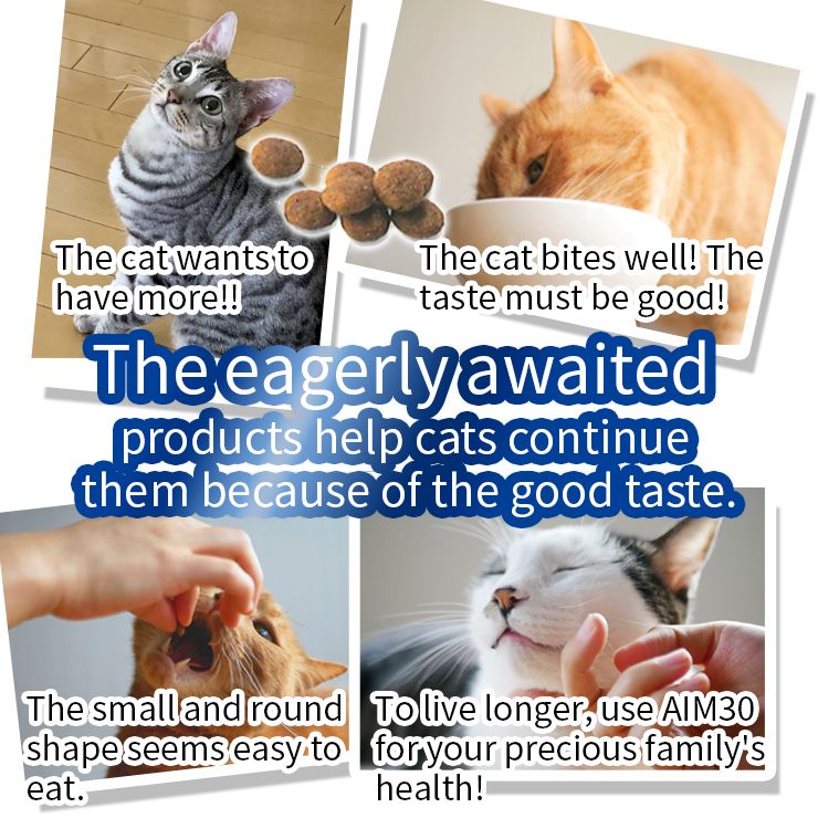 AIM30 20 -year -old indoor cat kidney Health Care Pack Pack