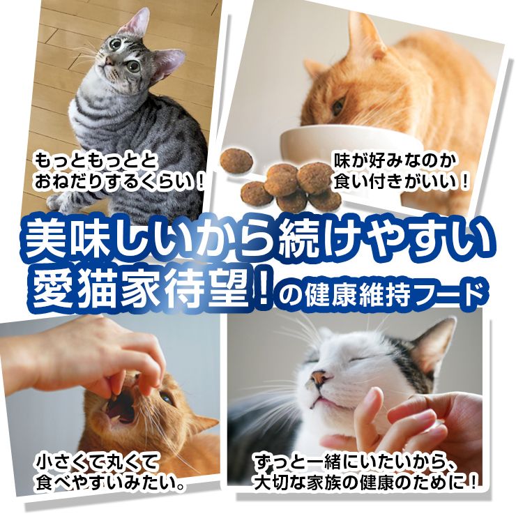 AIM30　20歳を迎える室内猫用　腎臓の健康ケア　おためしパック